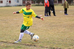 LD 乐动APP下载 -C罗回归赛场,逆转首场状态亮眼,塞尔维亚队观众沸腾!